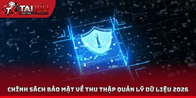 Chính sách bảo mật về thu thập quản lý dữ liệu 2026