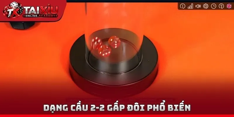 Dạng cầu 2-2 gấp đôi phổ biến