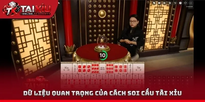 Dữ liệu quan trọng của cách soi cầu tài xỉu