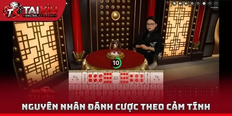 Nguyên nhân đánh cược theo cảm tính