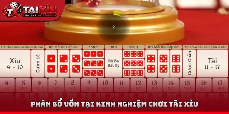Phân bổ vốn tại kinh nghiệm chơi tài xỉu