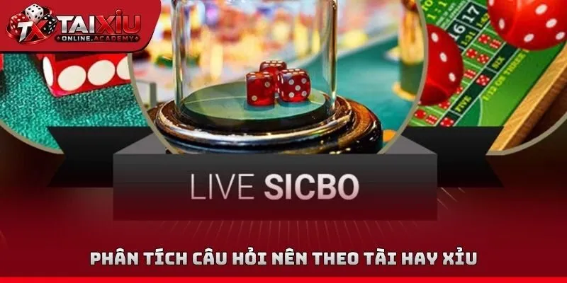 Phân tích câu hỏi nên theo tài hay xỉu