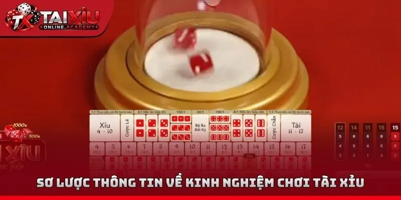 Sơ lược thông tin về kinh nghiệm chơi tài xỉuSơ lược thông tin về kinh nghiệm chơi tài xỉu