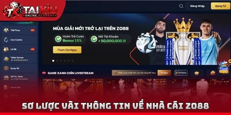 Sơ lược vài thông tin về nhà cái Zo88