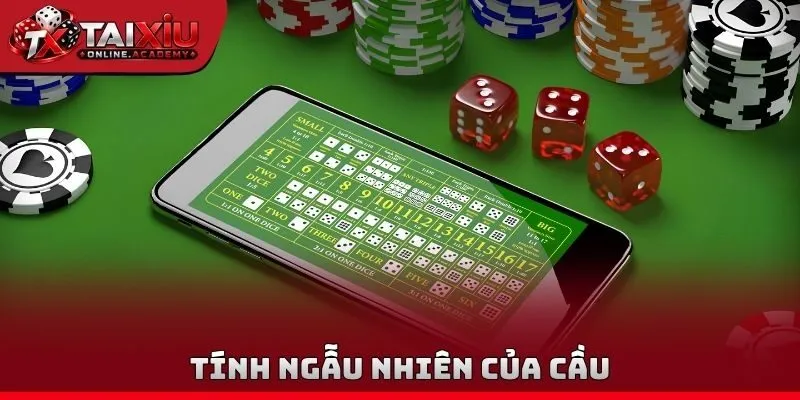 Tính ngẫu nhiên của cầu