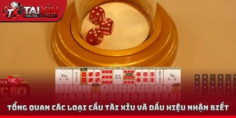 Tổng quan các loại cầu tài xỉu và dấu hiệu nhận biết